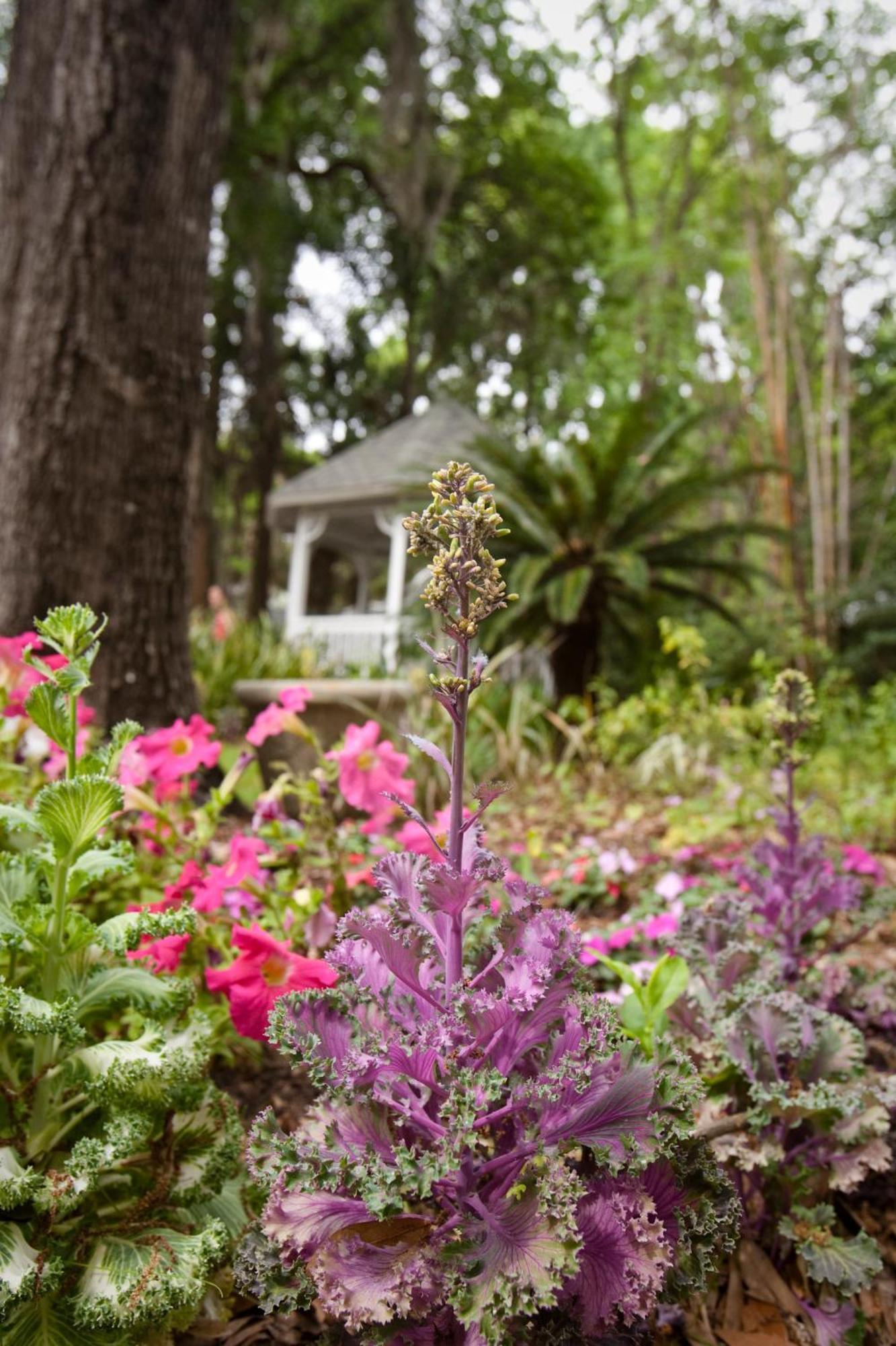 Sweetwater Branch Inn Gainesville Exteriér fotografie